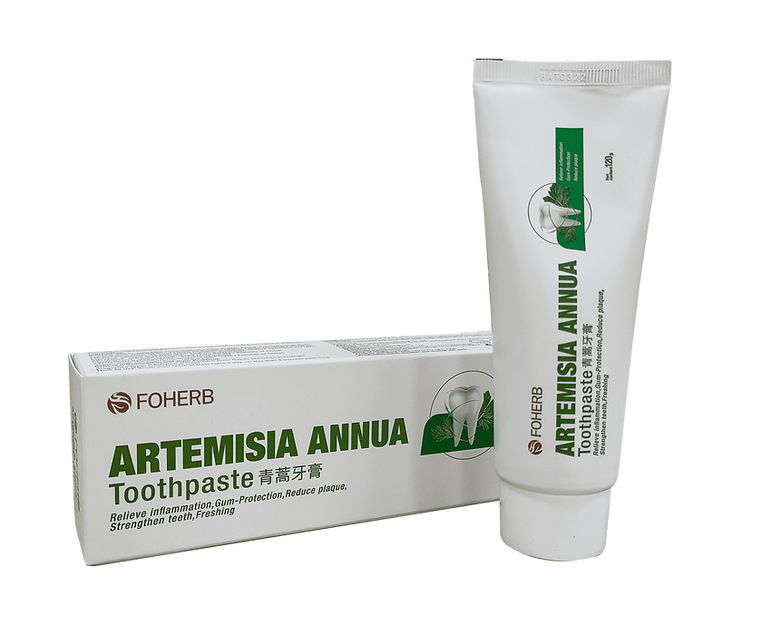 Artemisia Annua Zahnpasta (6x120g) - wellfeet